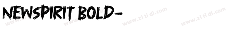 NewSpirit Bold字体转换